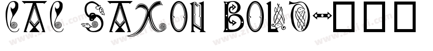 CAC Saxon Bold字体转换